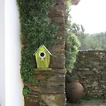 Vilar Dos Condes * Pedrógão Pequeno
