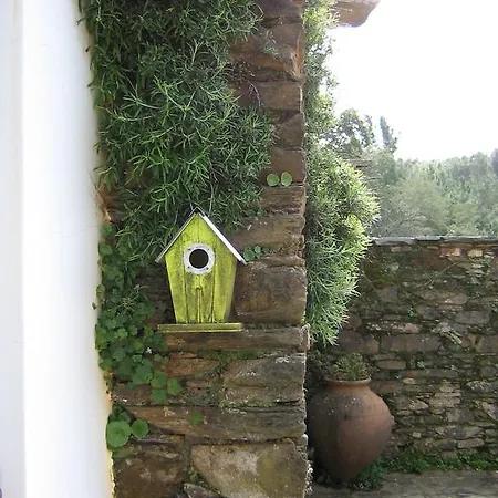 Vilar Dos Condes * Pedrógão Pequeno