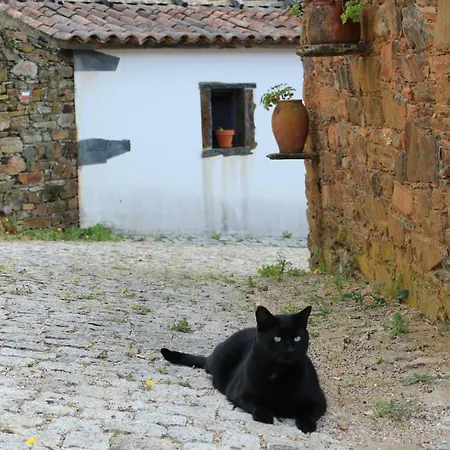 Vilar Dos Condes Casa de Campo