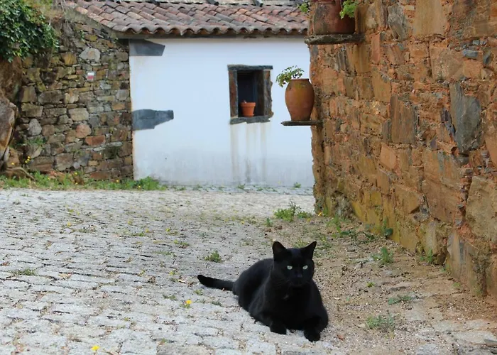 Vilar Dos Condes Casa de Campo